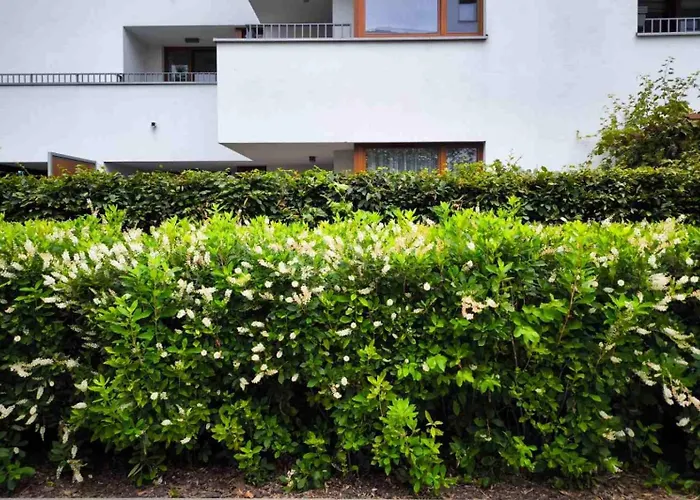 Awangarda 바르샤바